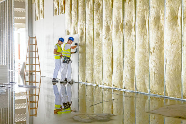 Best Specialized Insulation Services in Cape Girardeau, MO